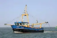 Shrimp cutter with license