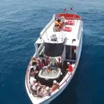 1981 Commercial Tourist boat