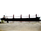 BULK CARRIER (Urgently sell)