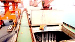 BULK CARRIER (Urgently sell)