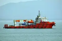 250' DP2 Support Construction Ship