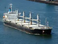CM0980 VINTAGE HANDYSIZE BULKER 28680 DWT/1999 JAPAN BLT FOR SALE