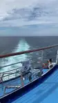 181.4m Cruise Ship