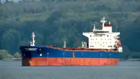 CM1065 PANAMAX BULK CARRIER 74500 DWT/2002 KOREAN BLT FOR SALE