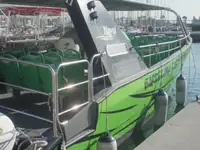 2015 Commercial Fast Boat